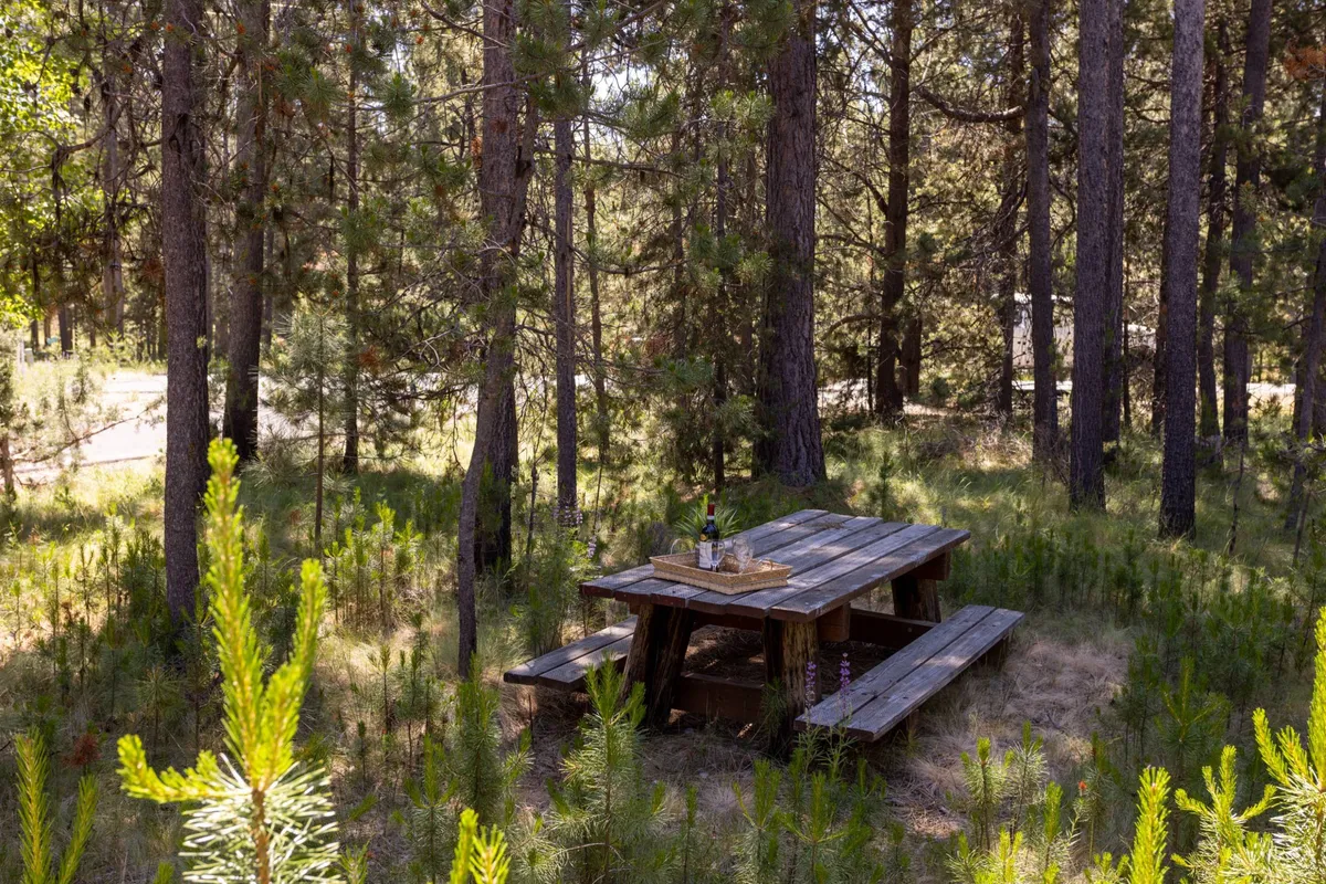 This image captures a rustic wooden picnic table set outdoors among tall trees. A bottle and glasses rest on the table, suggesting a relaxed alfresco meal or gathering. The lush forest surrounds create a sense of privacy and invitation to explore the outdoors with ample space for activities like frisbee or simply lounging with a pet.