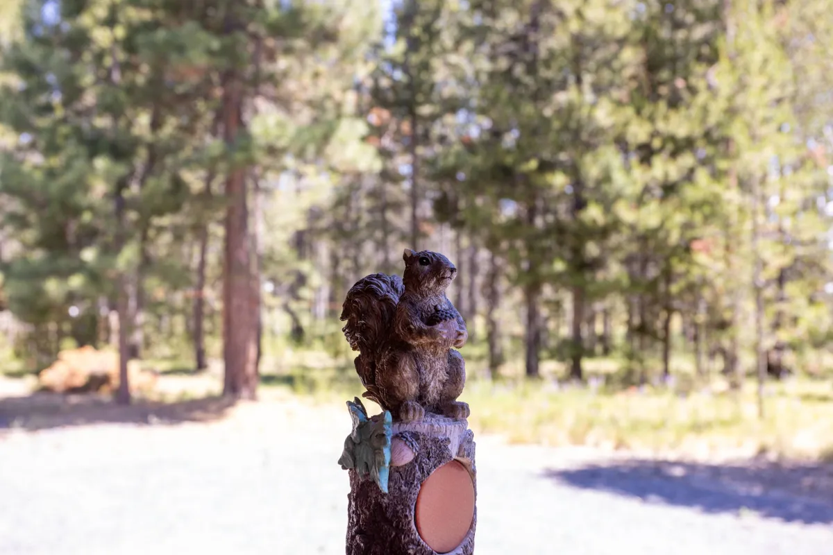 The image features a whimsical squirrel statue perched on a wooden post, with mature trees in the background. The scene feels playful and serene, inviting exploration and suggesting the presence of local wildlife that dogs might love to watch.
